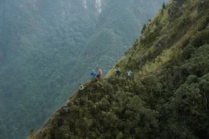Bidoup Nui Ba Trekking: A Soulful Journey Through Vietnam’s Misty Ancient Forests and Mossy Trails-3