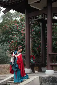 Elegant Qi Ni Si Mao: A Timeless Portrait in Traditional Attire & Camellias - YiTuYu Vol.8689-18