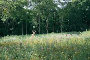 Ethereal Fairy Lake Photoshoot: Li Wo An An in YiTuYu艺图语 Vol.9379 Featuring Unique Floral Art and Dreamy Nature Aesthetics-15