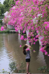 Vibrant Pink Bougainvillea Bridge: Ecopark Hung Yen's Hottest New Check-in Spot Captivating Youth-6