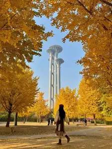 Golden Autumn Beijing: Discover Ginkgo Leaf Beauty & Capture Unforgettable Memories | Perfect Journey-1