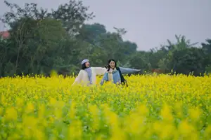 Immerse in Golden Rapeseed Fields: Girl's Artistic Photography Amidst Peaceful Charm, Attracting Year-End Visitors.-9