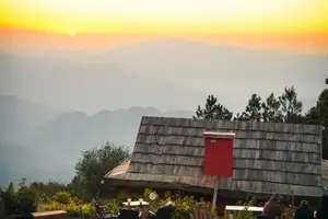 Ta Xua Winter: Discover the pristine beauty of forest flowers amidst majestic mountains-5