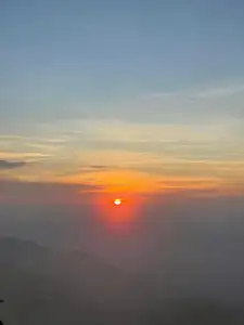 Ta Xua Winter: Discover the pristine beauty of forest flowers amidst majestic mountains-9