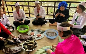 Discover the Magic of Muong Cuc, Phu Tho: Cloud Hunting at Deo Con Pass and the Unique Tet Doi Rice Soul Festival Experience-2