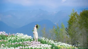 Ethereal Beauty in Flower Fields: YiTuYu Vol.8915 Disexi Si Ning-13
