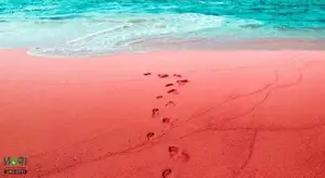 Crimson Sea Mystery: Natural Phenomenon or Strange Omen After Heavy Rain?-4