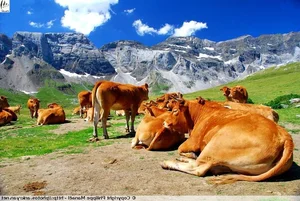 Breathtaking views of the highest limestone massif in Europe-4