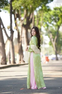 Elegant Vietnamese Ao Dai: Traditional Silk Fashion and Cultural Beauty of Vietnam-9