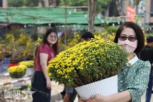 Experience the Vibrant Lunar New Year Flower Markets in Ho Chi Minh City: A Colorful Spring Celebration in Saigon-3