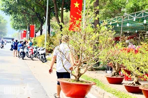 Experience the Vibrant Lunar New Year Flower Markets in Ho Chi Minh City: A Colorful Spring Celebration in Saigon-9