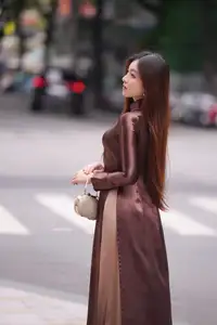 Graceful Brown Ao Dai Beauty on the Street: Modern Vietnamese Elegance-5