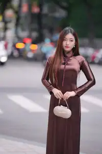 Graceful Brown Ao Dai Beauty on the Street: Modern Vietnamese Elegance-3