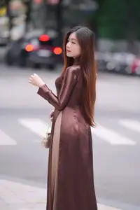 Graceful Brown Ao Dai Beauty on the Street: Modern Vietnamese Elegance-4