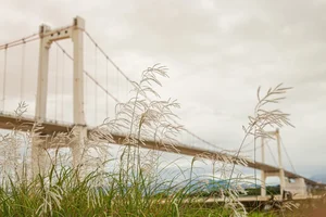 Escape the Ordinary: Discovering Da Nang’s Serene Hidden Gems and Ethereal Landscapes-6