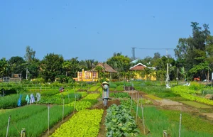 Escape the Ordinary: Discovering Da Nang’s Serene Hidden Gems and Ethereal Landscapes-7