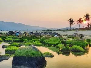 Escape the Ordinary: Discovering Da Nang’s Serene Hidden Gems and Ethereal Landscapes-0