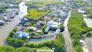 Experience the Magic of Hoi An Ancient Town During Lunar New Year 2026: Free Entry and Cultural Festivities in Vietnam-1