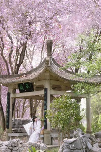 Ethereal Spring Dreams - YiTuYu Art Language Vol.8912 Qiao Qiao-27