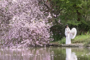 Ethereal Spring Dreams - YiTuYu Art Language Vol.8912 Qiao Qiao-26