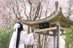 Ethereal Spring Dreams - YiTuYu Art Language Vol.8912 Qiao Qiao-13