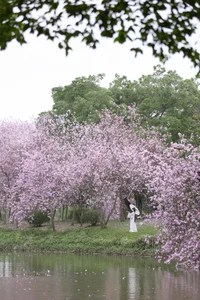 Ethereal Spring Dreams - YiTuYu Art Language Vol.8912 Qiao Qiao-23