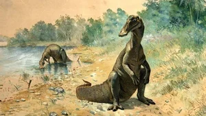 Discovering the Majestic New Duck-Billed Dinosaur from the Late Cretaceous Era-4