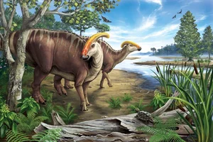 Discovering the Majestic New Duck-Billed Dinosaur from the Late Cretaceous Era-6