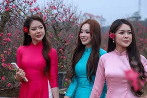 Hanoi Spring Vibes: Young Women in Traditional Ao Dai at Nhat Tan Peach Blossom Garden for Tet 2026-1