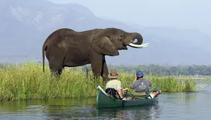 Witness the majestic African Elephants in the pristine 'land of divine lakes'.-4