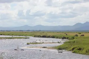 Witness the majestic African Elephants in the pristine 'land of divine lakes'.-7
