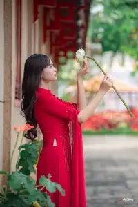 VGU No.188: Captivating Elegance: Vietnamese Beauty in Red Áo Dài with Sacred Lotus Flower.-3