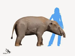 Discover the Palaeomastodon: The Fascinating 4-Tusked Mini Elephant Ancestor and Its Role in Prehistoric Evolution-6