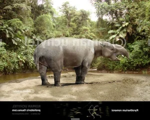 Discover the Palaeomastodon: The Fascinating 4-Tusked Mini Elephant Ancestor and Its Role in Prehistoric Evolution-1