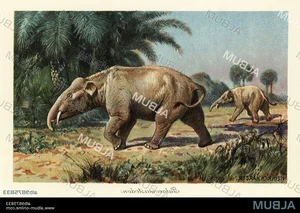 Discover the Palaeomastodon: The Fascinating 4-Tusked Mini Elephant Ancestor and Its Role in Prehistoric Evolution-0