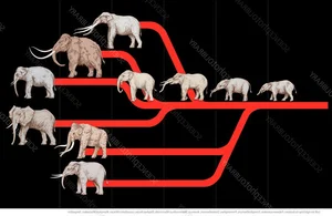 Discover the Palaeomastodon: The Fascinating 4-Tusked Mini Elephant Ancestor and Its Role in Prehistoric Evolution-3