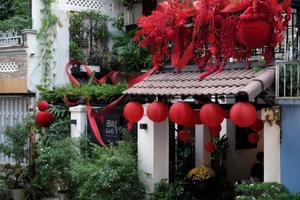 Sustainable Flexible Bamboo Lattice Decor Ideas for Lunar New Year 2026: Eco-Friendly Versatile Screens for Modern Home and Event Backdrops-16