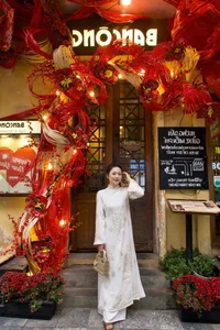 Sustainable Flexible Bamboo Lattice Decor Ideas for Lunar New Year 2026: Eco-Friendly Versatile Screens for Modern Home and Event Backdrops-13