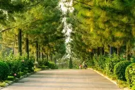 Explore Cat Ba from Above: Sunset Cable Car Enthralls International Tourists | Cat Ba Travel-3