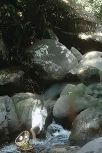 Serene Asian Beauty: A Delicate Moment with a White Flower-7