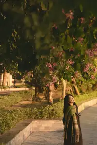 Discover the Serene Natural Beauty of an Asian Girl in a Warm Golden Hour Portrait 1047274-14