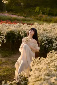 Poetic Beauty in a Daisy Garden: Serene Moments Under Gentle Sunset Glow. Discover This Dreamy Scene!-10