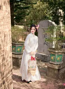 Graceful Vietnamese Ao Dai Beauty in Ancient Architecture-3