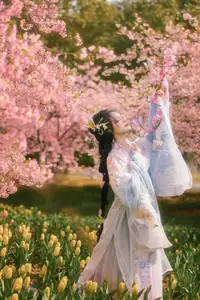 YiTuYu Vol.8666 Xian Lu: Ethereal Hanfu Beauty Amidst Cherry Blossoms-4