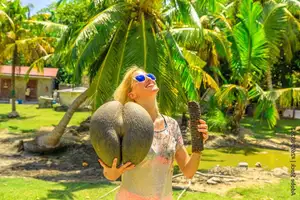 Astonishing Coco de Mer: Discover the world's largest sea coconut seed, weighing 25kg, unique to Seychelles!-4