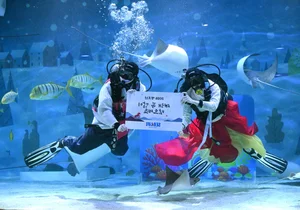 Vibrant Global Lunar New Year Celebrations: Capturing the Festive Spirit and Traditions of the Year of the Horse (Bính Ngọ) Worldwide-8