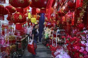 Vibrant Global Lunar New Year Celebrations: Capturing the Festive Spirit and Traditions of the Year of the Horse (Bính Ngọ) Worldwide-0
