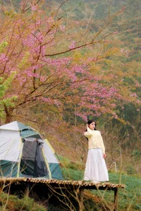 Discover the Breathtaking Cherry Blossoms of Xom Mung Village: A Must-Visit Spring Destination for Nature Lovers and Cultural Explorers in Vietnam-4