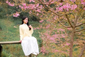 Discover the Breathtaking Cherry Blossoms of Xom Mung Village: A Must-Visit Spring Destination for Nature Lovers and Cultural Explorers in Vietnam-5