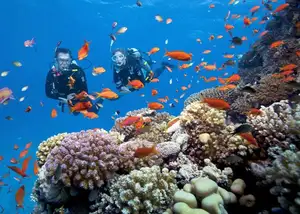 Discover Phu Quoc: A Tropical Island Paradise with Breathtaking Pristine Landscapes-3